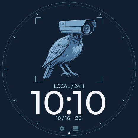 DeFlock camera-raven 24-hour watch